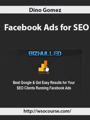 Dino Gomez – Facebook Ads for SEO