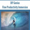DIY Genius – Flow Productivity Immersion