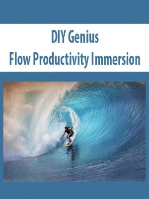 DIY Genius – Flow Productivity Immersion