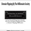 domain flipping by the millionaire society