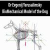 Dr Evgenij Yerusalimsky – BioMechanical Model of the Dog