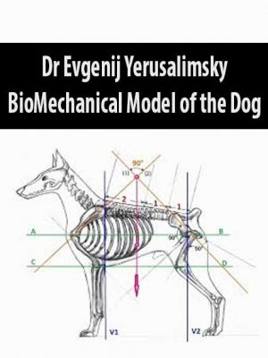 Dr Evgenij Yerusalimsky – BioMechanical Model of the Dog