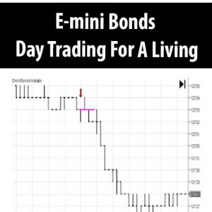 E-mini Bonds – Day Trading For A Living