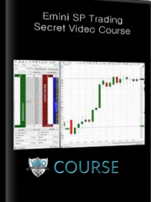 Emini SP Trading Secret Video Course