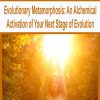 Evolutionary Metamorphosis: An Alchemical Activation of Your Next Stage of Evolution