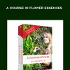 A Flower’s Power: A Course In Flower Essences