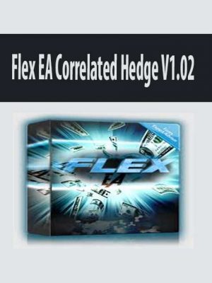 Flex EA Correlated Hedge V1.02