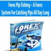 Forex Pip Fishing – A Forex System For Catching Pips All Day Long