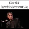 Gabor Mat? - Psychedelics in Modern Healing