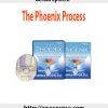 gerald epstein the phoenix process