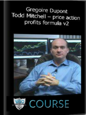 Todd Mitchell – price action profits formula v2