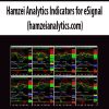 Hamzei Analytics Indicators for eSignal (hamzeianalytics.com)