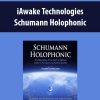iawake technologies schumann holophonic