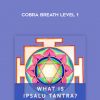 Ipsalu Tantra – Cobra Breath Level 1
