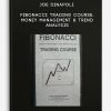 joe dinapoli fibonacci trading course money management trend analysis