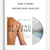 john e sarno healing back pain dvd