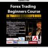 Karen Foo – Forex Trading – Beginners Course