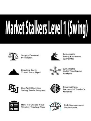 Market Stalkers Level 1 – Swing trading school (2020)