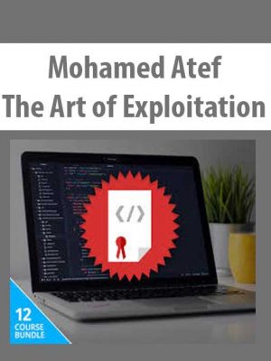 Mohamed Atef – The Art of Exploitation