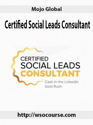 Mojo Global – Certified Social Leads Consultant