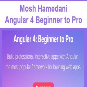 Mosh Hamedani - Angular 4 Beginner to Pro