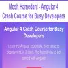 Mosh Hamedani – Angular 4 Crash Course for Busy Developers