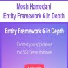 Mosh Hamedani – Entity Framework 6 in Depth