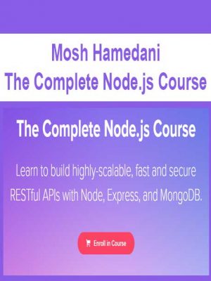 Mosh Hamedani – The Complete Node.js Course