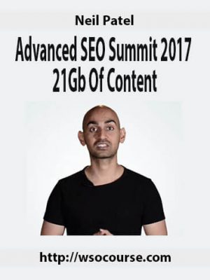 Neil Patel – Advanced SEO Summit 2017 21Gb Of Content