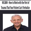 NICABM – How to Work with the Part of Trauma That Your Patient Can’t Verbalize