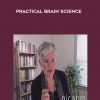 NICABM – Practical Brain Science