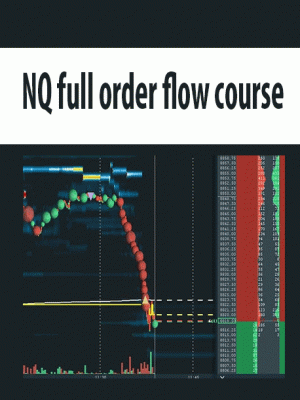 NQ Full Order Flow Course
