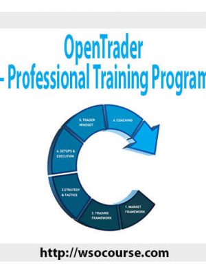 OpenTrader – Professional Training Program