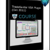TradeGuider VSA Plugin (Oct 2011)