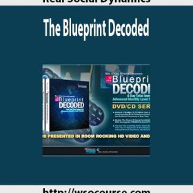 Real Social Dynamics - The Blueprint Decoded