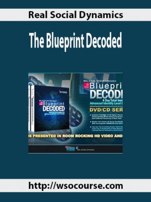 Real Social Dynamics – The Blueprint Decoded