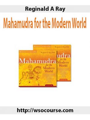 Reginald A Ray – Mahamudra for the Modern World