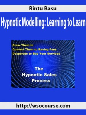 Rintu Basu – Hypnotic Modelling: Learning to Learn