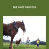 rudy hunter the pace process 2