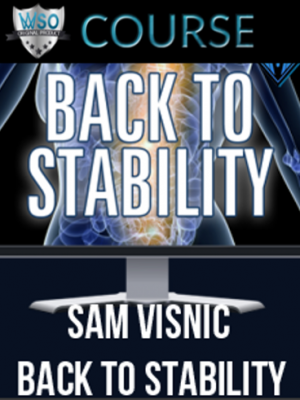 Sam Visnic – Back To Stability