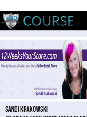 Sandi Krakowski – 12 Weeks Your Store Video Class