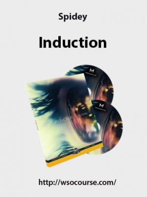 Spidey – Induction