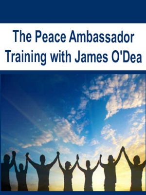 The Peace Ambassador Training with James O’Dea