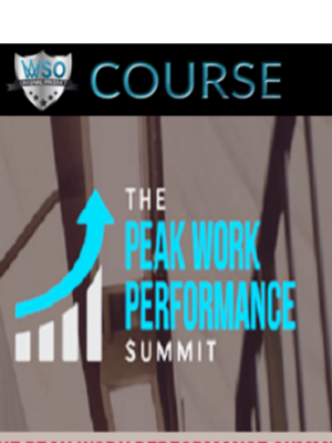 The Peak Work Performance Summit