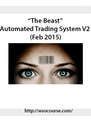 "The Beast"? Automated Trading System V2 (Feb 2015)