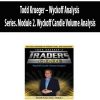 Todd Krueger – Wyckoff Analysis Series. Module 2. Wyckoff Candle Volume Analysis