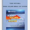todd mitchell emini volume break out system 400x556 1