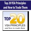 Top 20 VSA Principles & How to Trade Them