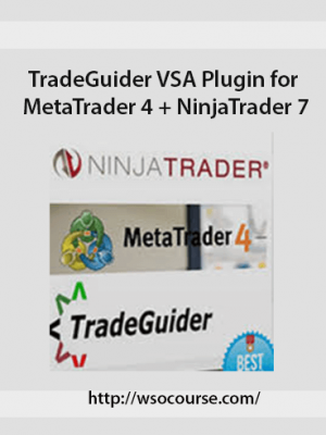 TradeGuider VSA Plugin for MetaTrader 4