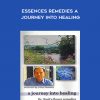 Dr Bach Flower – Journey into Healing Bach Flower Remedies